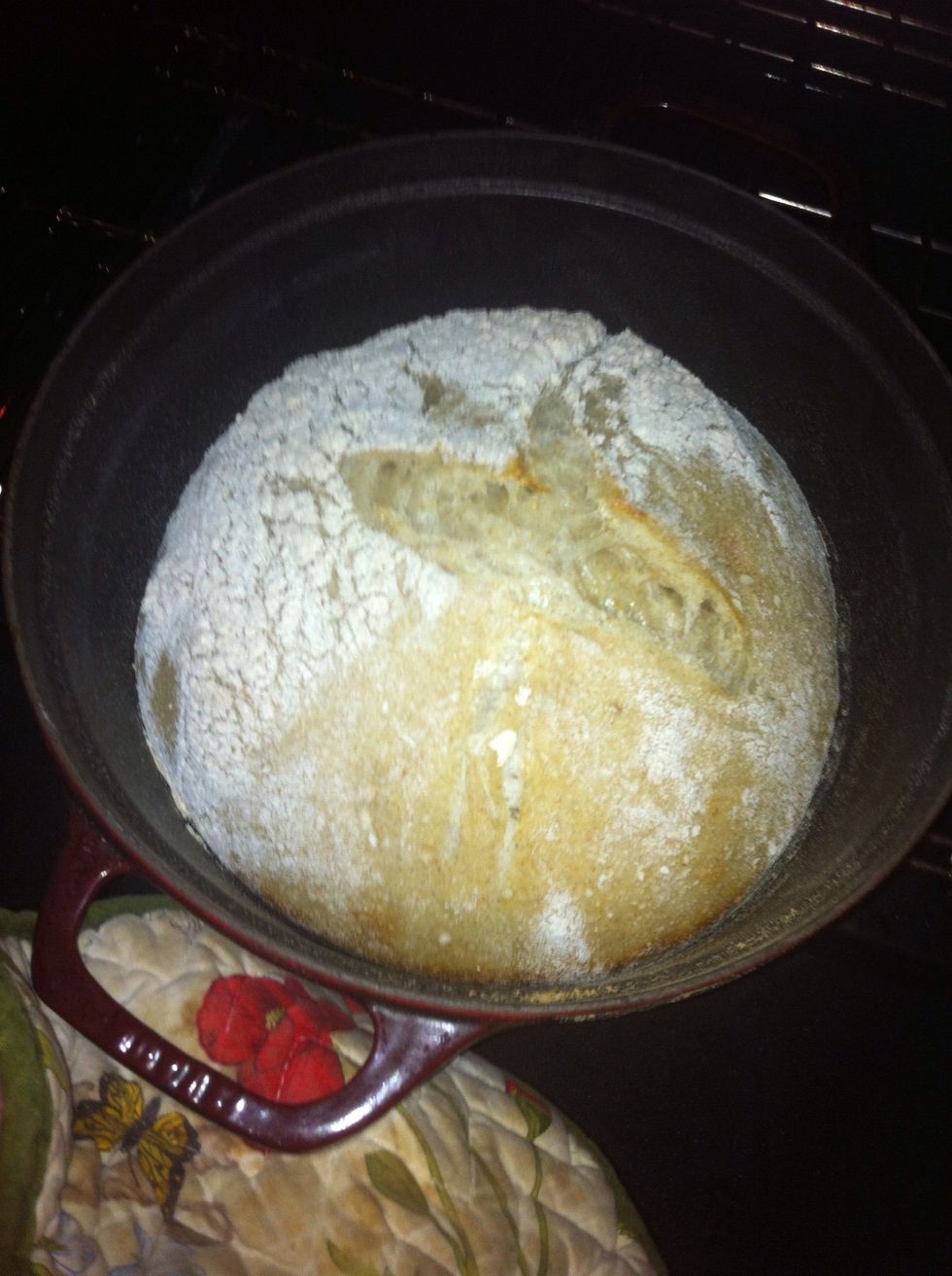 Remove the top of the Dutch oven and continue cooking for 25 min. Note the dough has risen nicely.