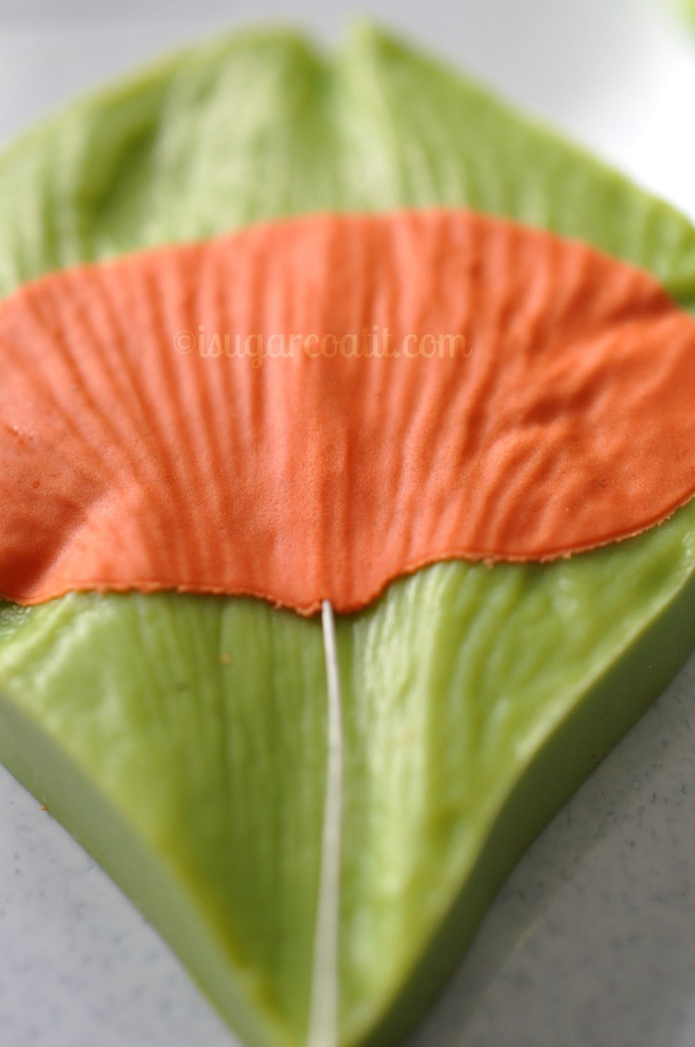 Remove top piece of veiner and slowly and carefully lift off the petal. You may need to flex the veiner slightly to help release the petal. DO NOT use the wire to lift out the petal.