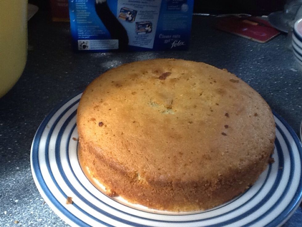 Remove your cake, it should now be cool
