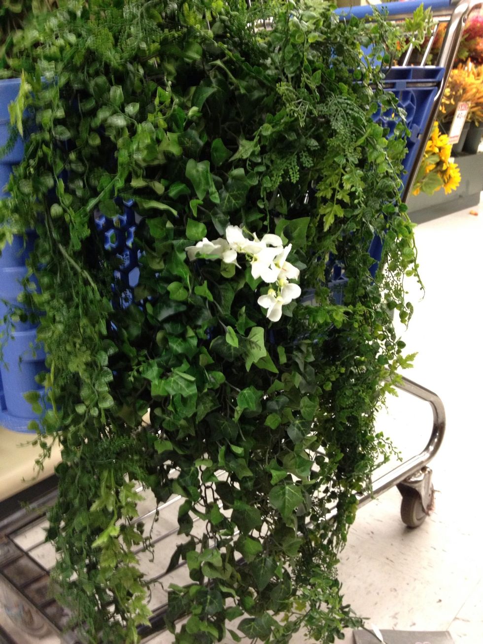 Repeat all steps and wire together at peak. Drape through opening.