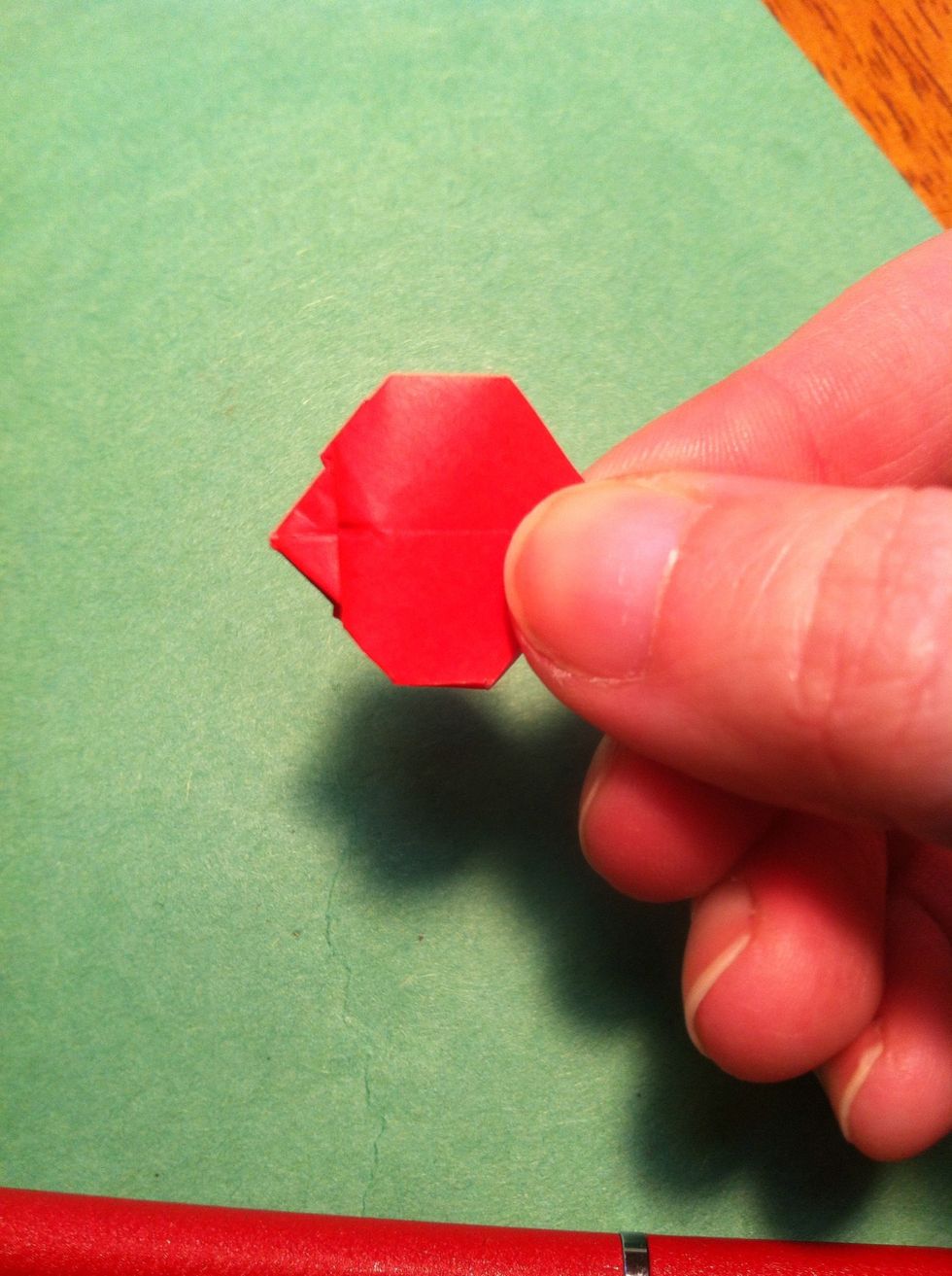 Repeat on back like this.