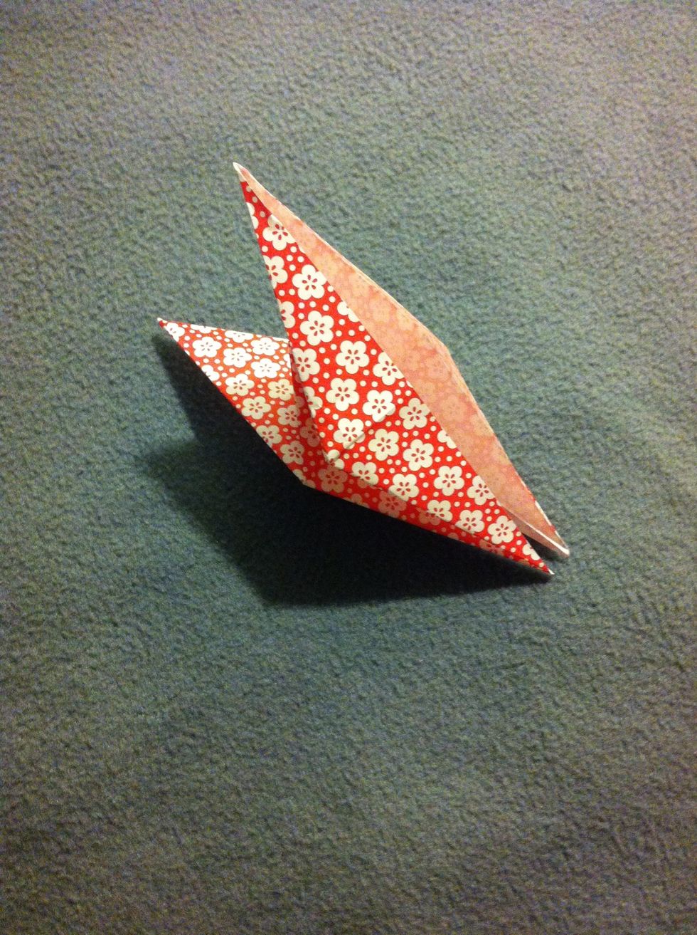 Repeat on the other side (yes, origami is symmetrical; we always repeat things) Note: this picture is a side view so you can see what it looks like, so don't be confused.