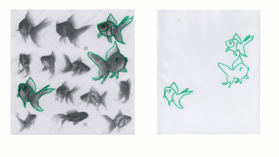 Repeat step 5 with any outlines or images that you may want to use as part of your drawing. If you feel confident, you can even combine the outlined shapes from different fish to create your own!