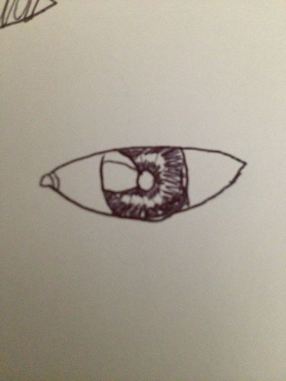 Repeat step 6, expect around the eye.
