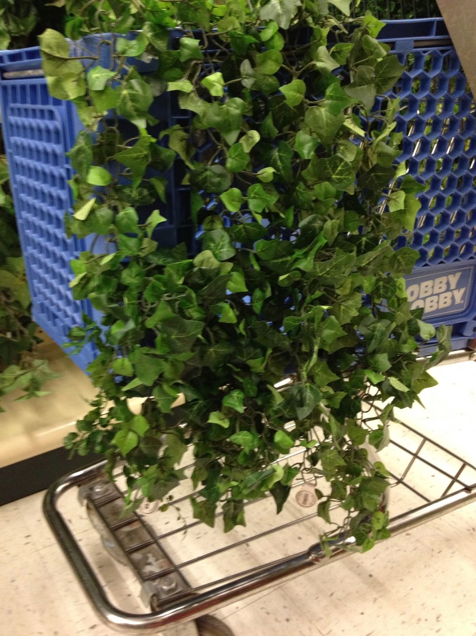 Repeat step two on second vine.