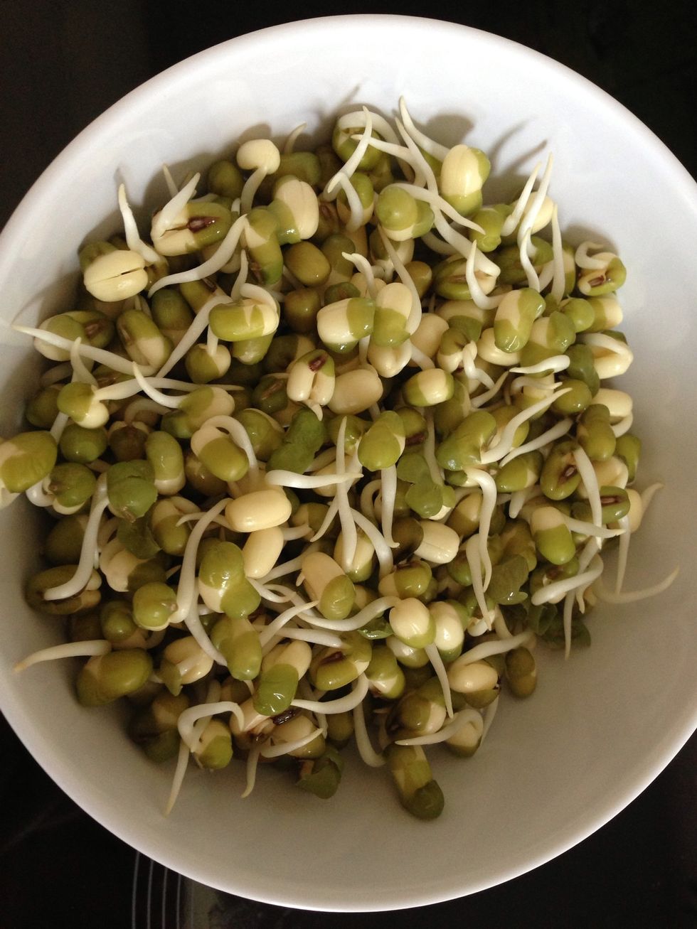 Repeat the operation every 6~12 hours...