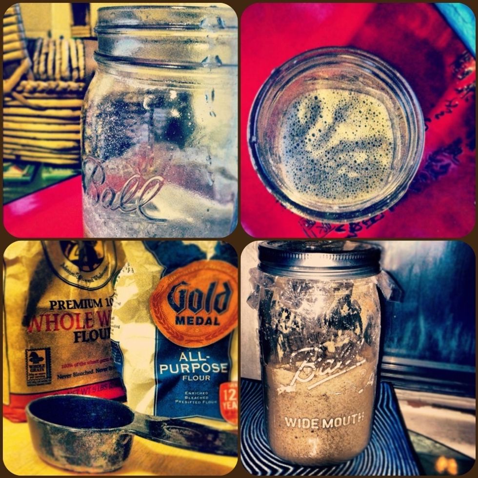 Repeat the process of feeding the sponge for at least a full week to strengthen it enough to make your first loaf. When it grows up start keeping it in the fridge and it only needs a weekly feeding.