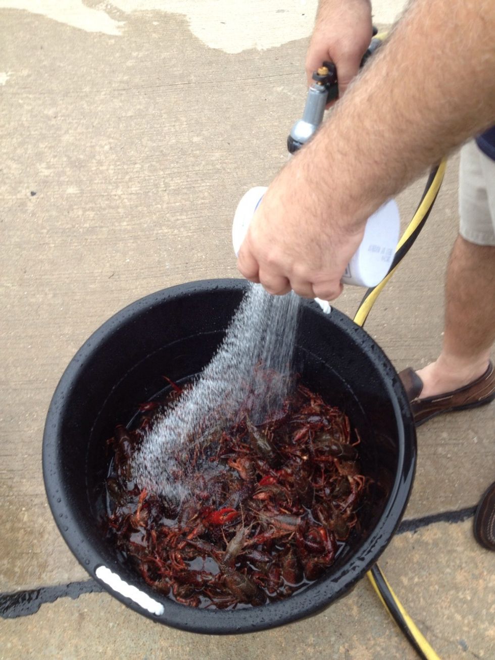 How to make 200lbs of crawfish for 75+ family & friends B+C Guides