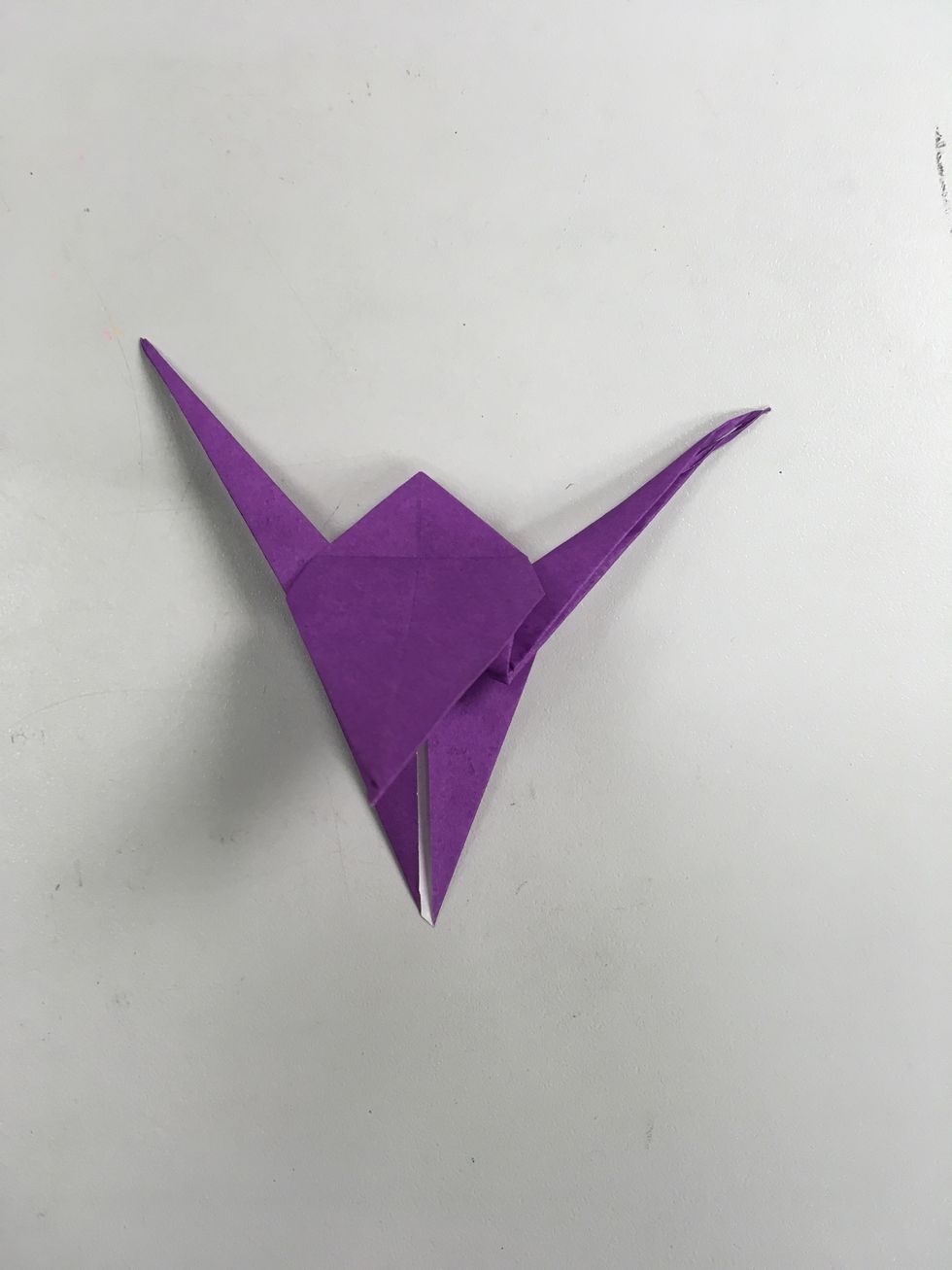 Repeat the same step to the other side.