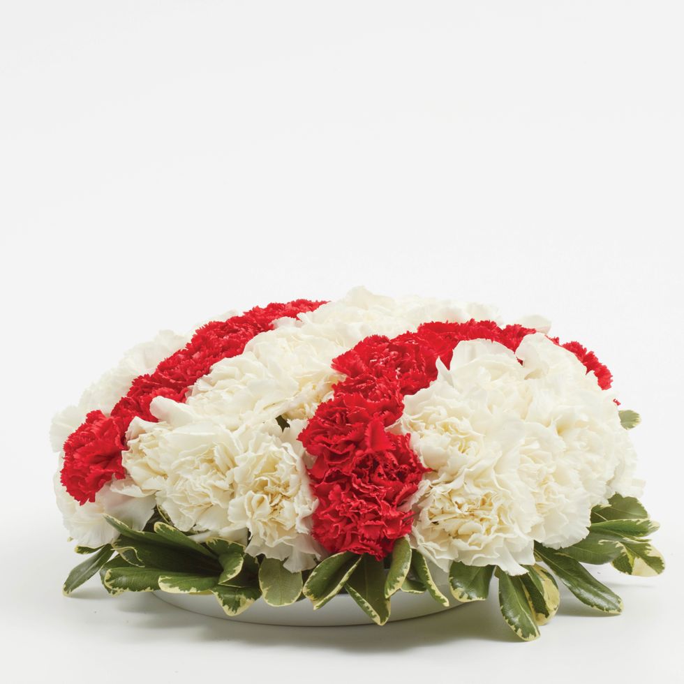 Repeat the same steps on the other side.