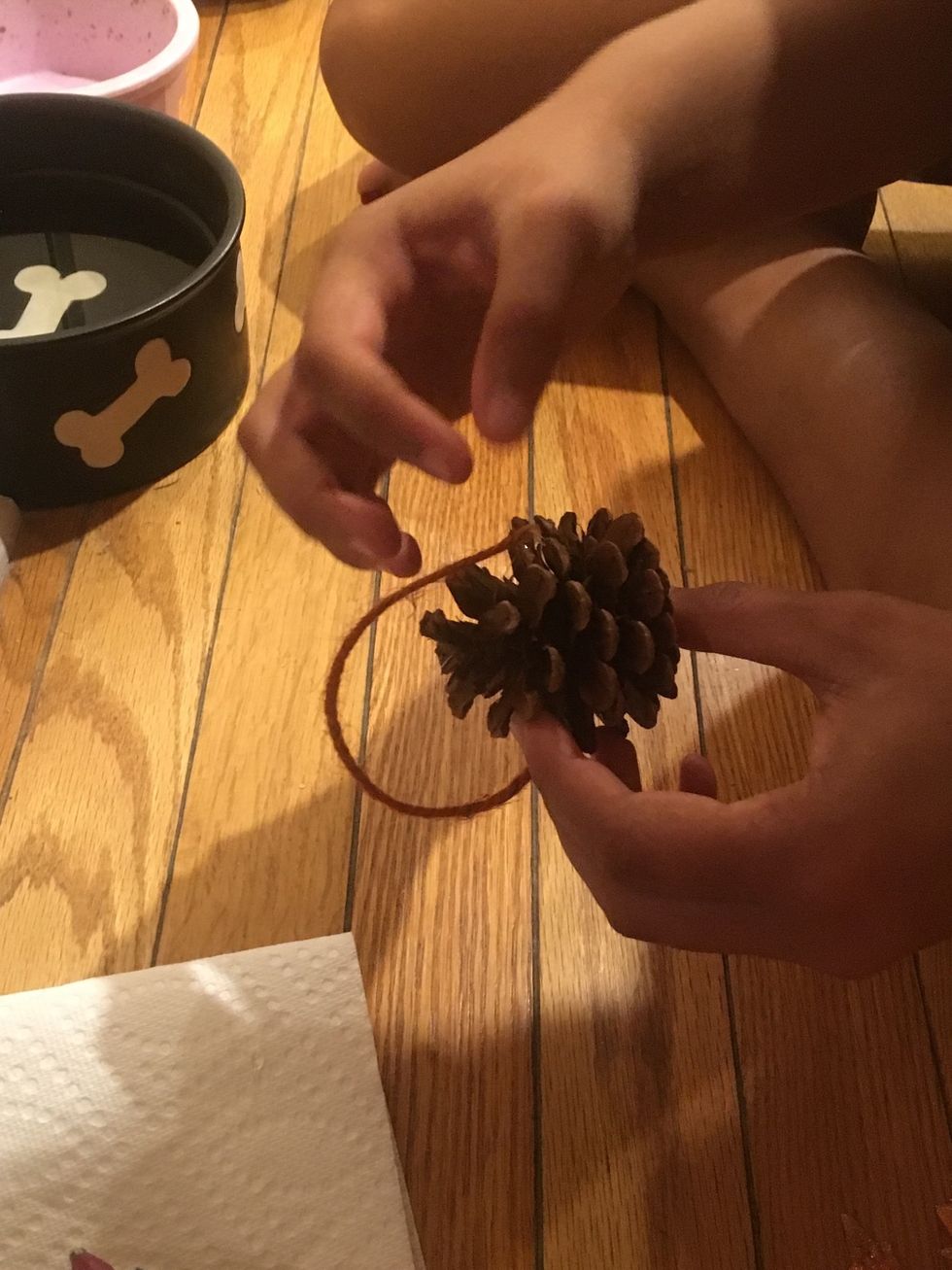 Repeat with pine cones