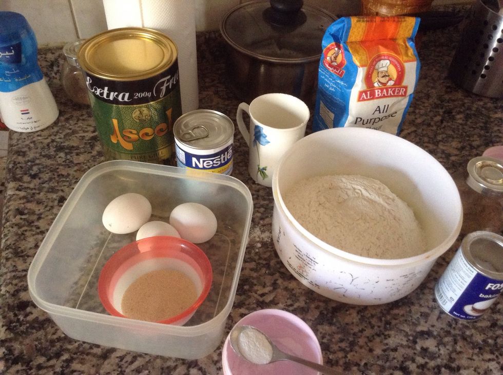 Required ingredients