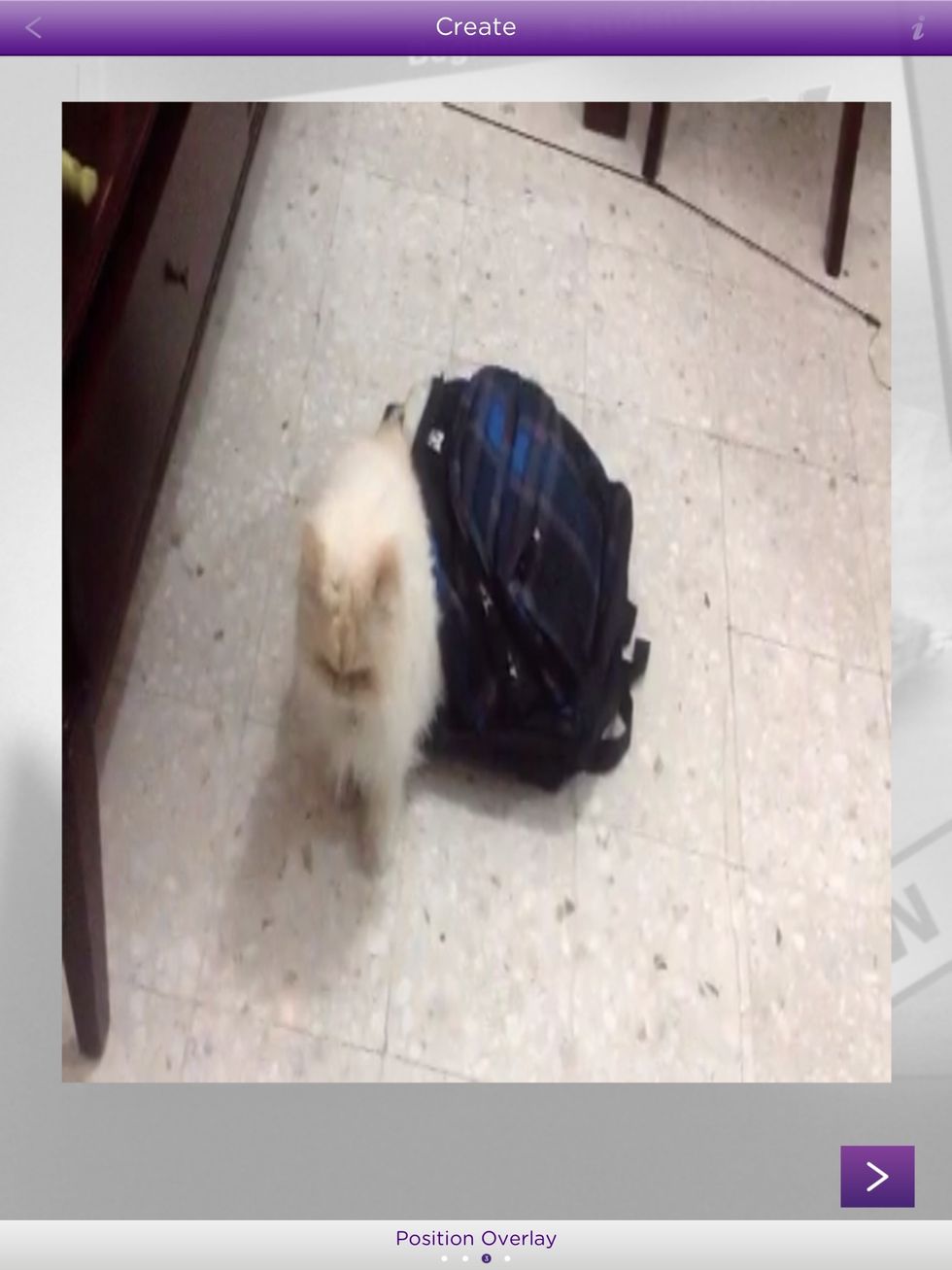 Resize, rotate and scale your video