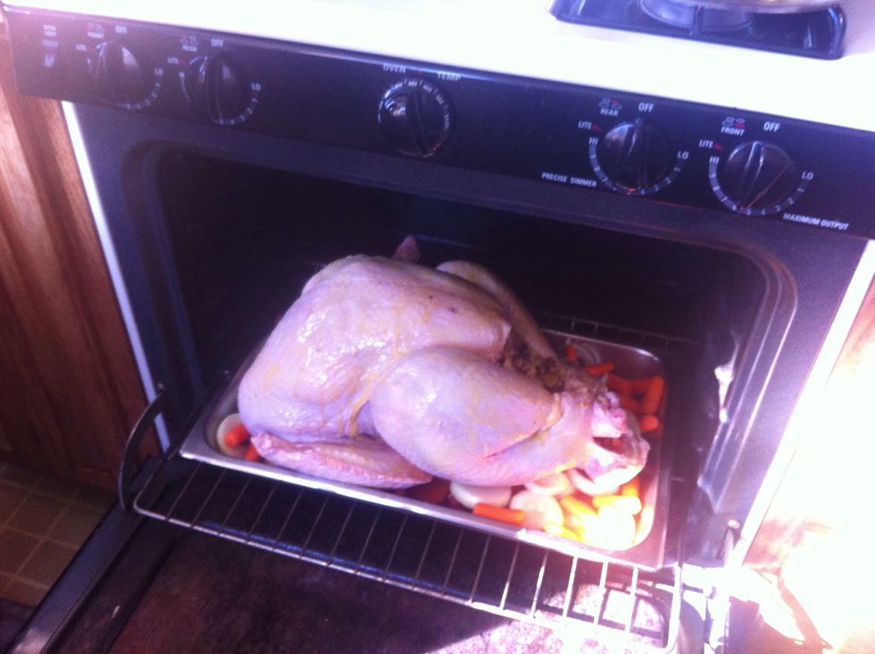 Resting on its sweet potato cushion, the bird goes in the oven. But let us NEVER place it on the lowest rack again. It makes it much too hard to remove.