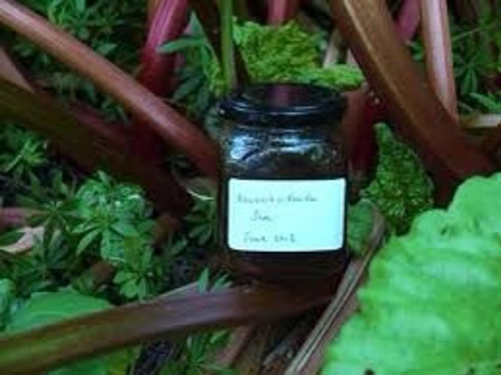 Rhubarb jam