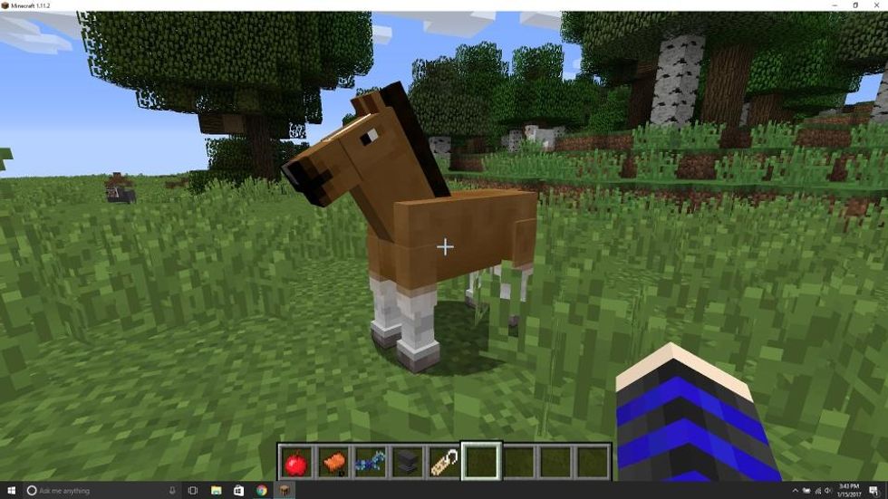 Right click your horse to ride it. It will buck you off the first couple of times but keep trying to ride it until hearts appear from the horse.
