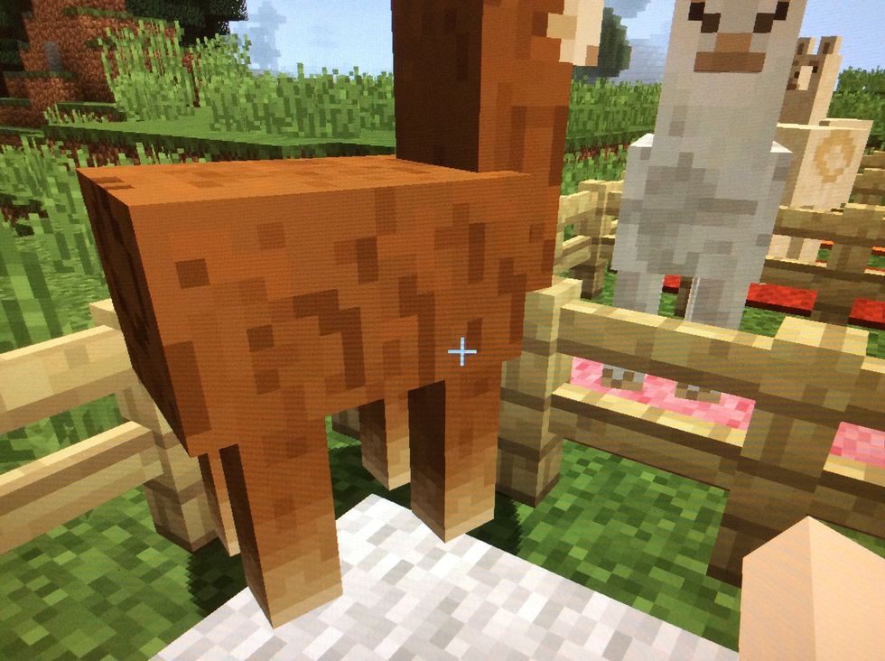 How to tame llamas in minecraft B+C Guides