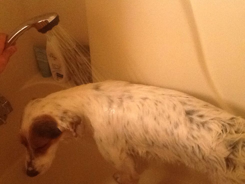 Rinse all the soap out.