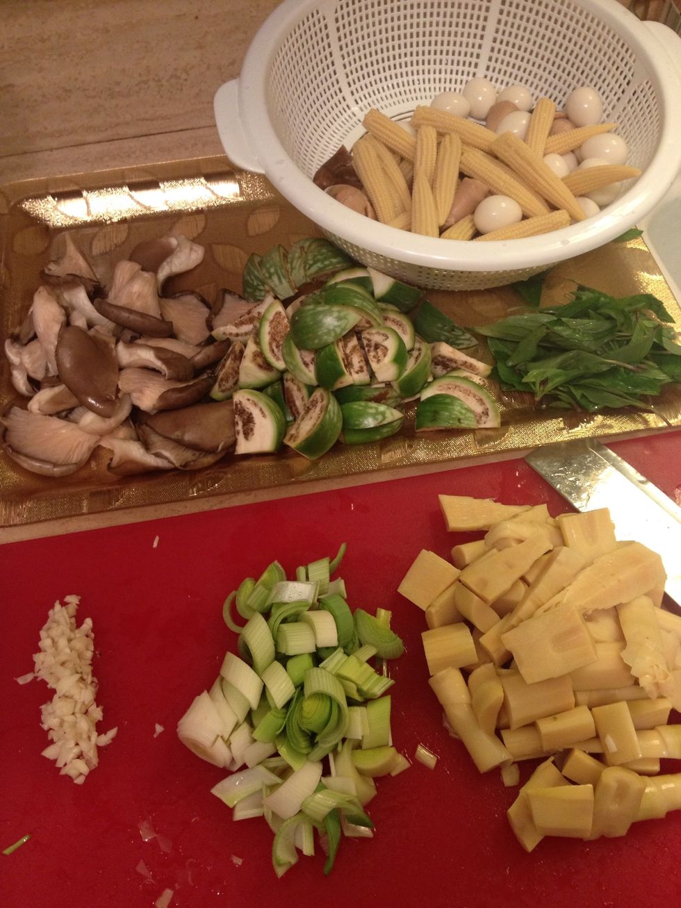 Rinse all your veggies/mushrooms very well and pat dry. Then mince the garlic and cut everything else into your desired 'bite-size'. Tear the basil leaves off the branches.