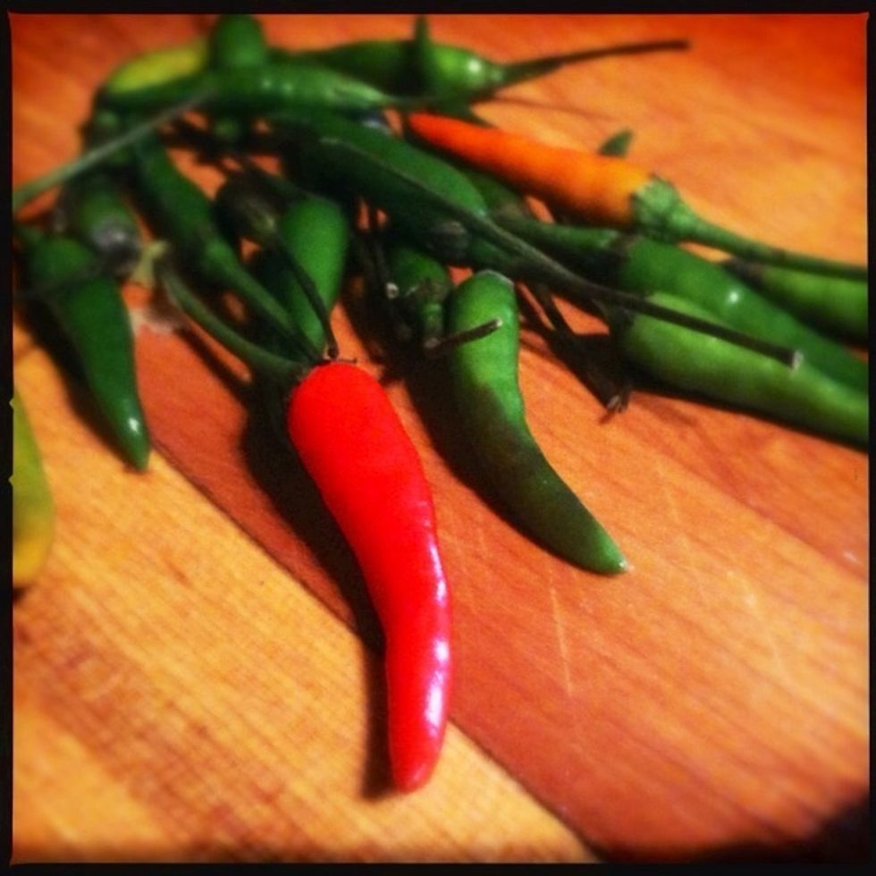 Rinse and clean the chilies.
