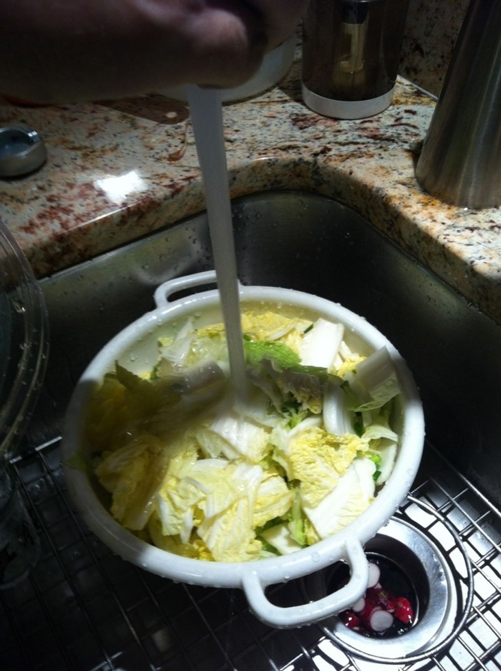 Rinse and drain, squeezing out as much liquid as possible. Return cabbage to the empty bowl.