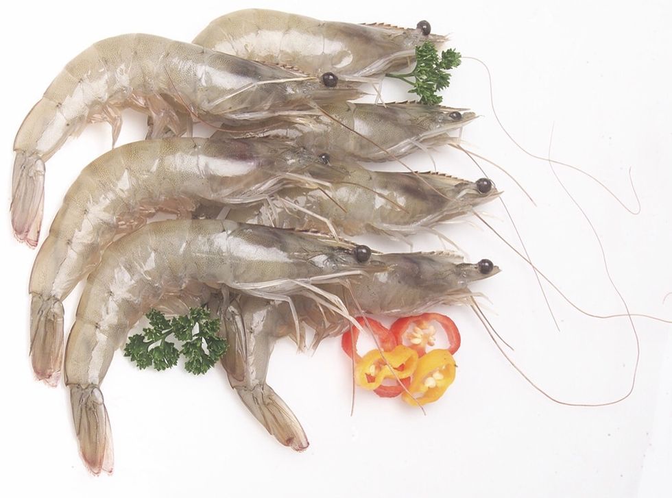 Rinse and Wash the Shrimp.