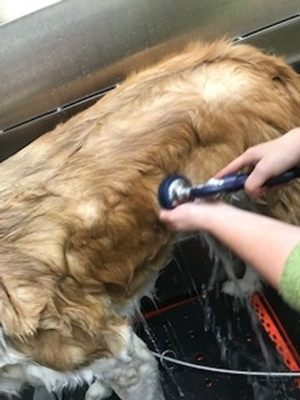 Rinse off conditioner with water.