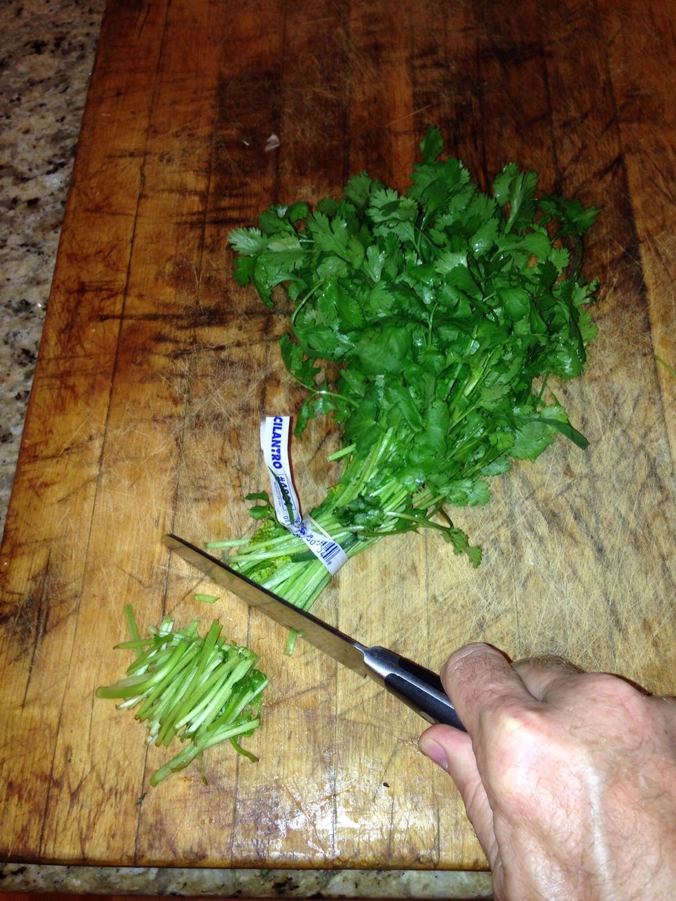 Rinse, pat dry and cut the end off the cilantro bunch