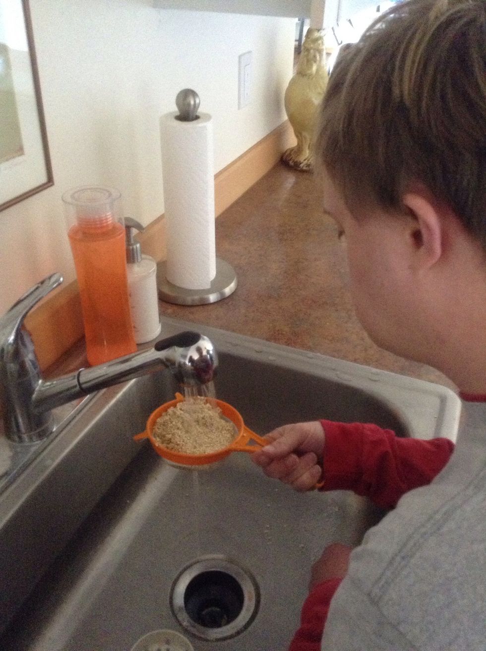 Rinse quinoa with cool water