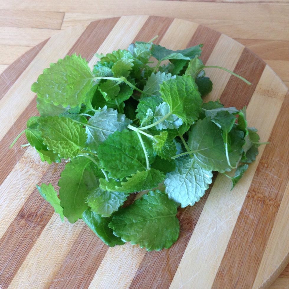 Rinse the lemon balm thoroughly