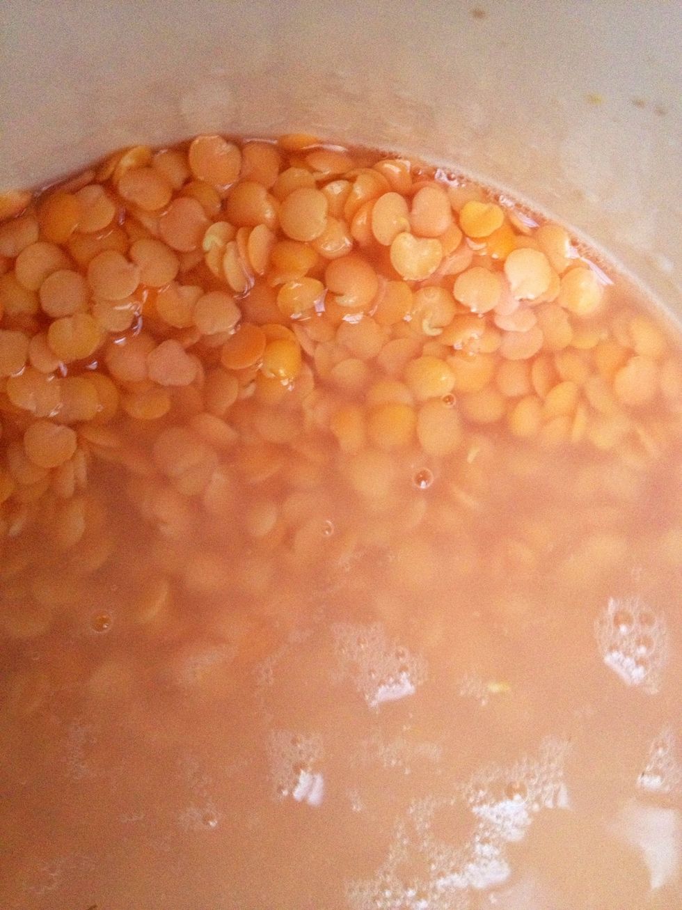 Rinse the lentils and put them to soak overnight in 2 times their volume of water.