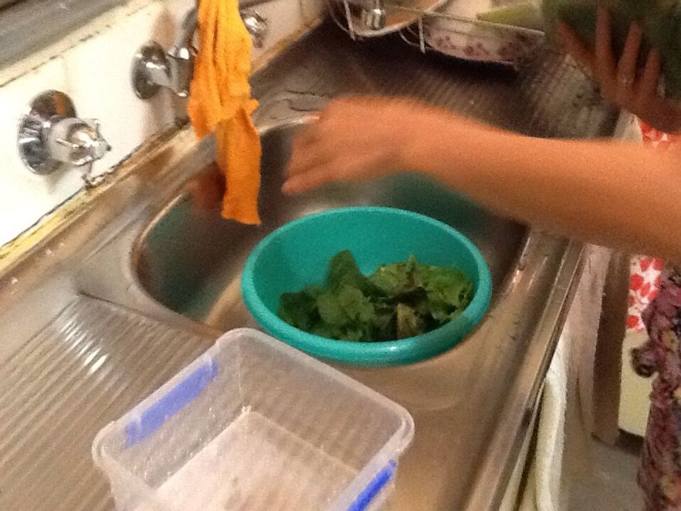 Rinse the plants/leaves thoroughly with warm water ( repeat this step 2-4 times ) (AGAIN OPTIONAL)