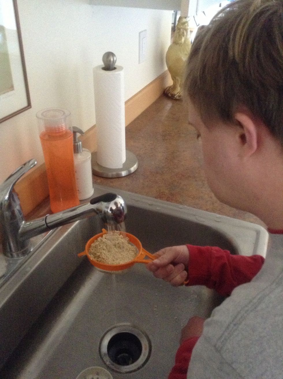 Rinse the quinoa with clean water.