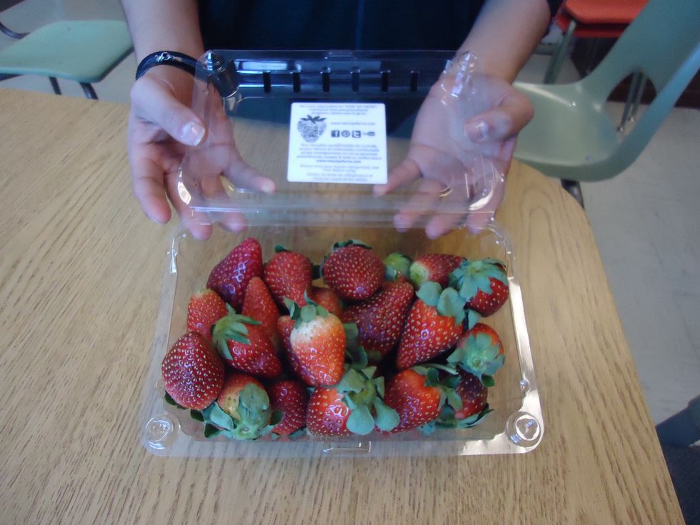 Rinse the strawberries and put them in a double paper towel and let them dry for 30 minutes or more.