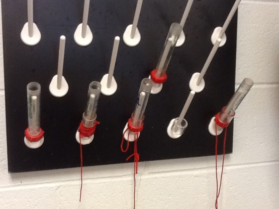 Rinse tube out and slide it on drying rack