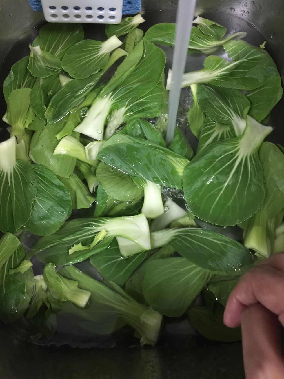 Rinse well under running water.