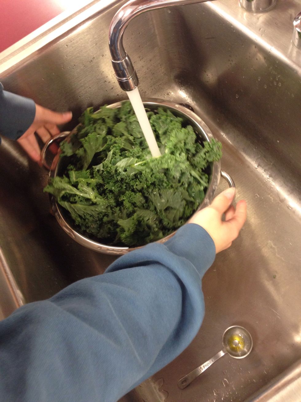 Rinse your kale! We found a bug in ours 0.0