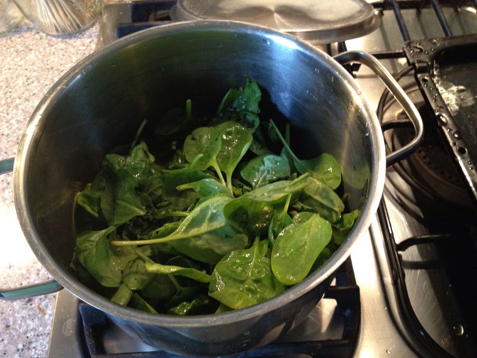 Rinse your spinach and boil it with a bit of water.