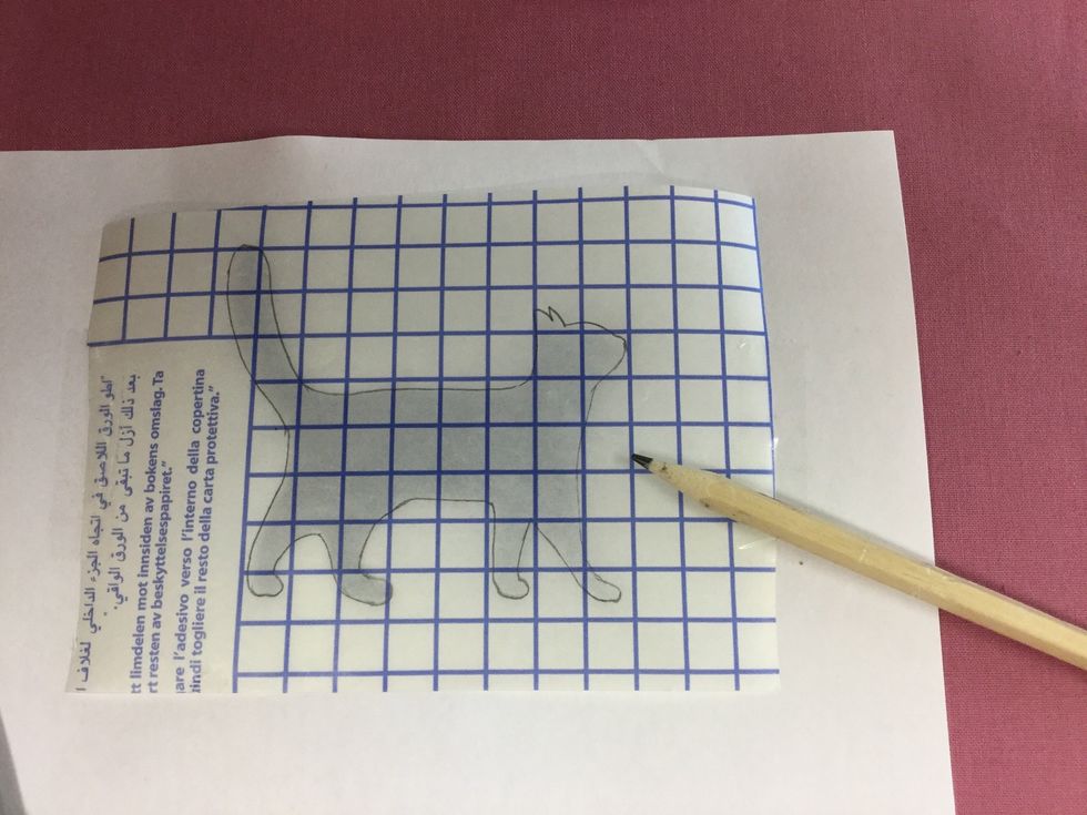 Rita av din bild, t\u00e4nk efter, den h\u00e4r katten kommer att bli spegelv\u00e4nd.