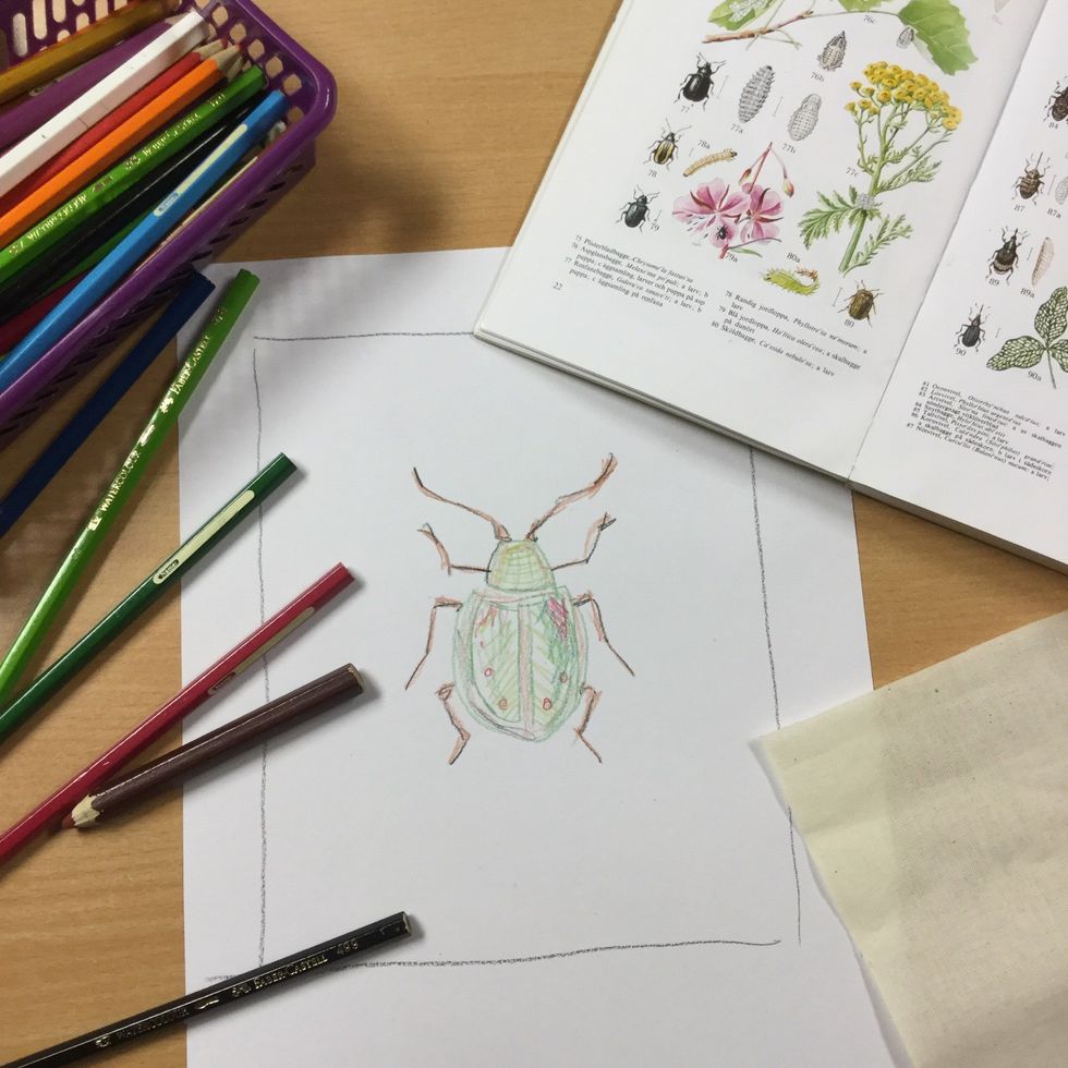 Rita av en av de f\u00e4rdigklippta tygbitarna p\u00e5 ett papper. G\u00f6r en f\u00e4rgskiss p\u00e5 n\u00e5gon av insekterna ur boken.