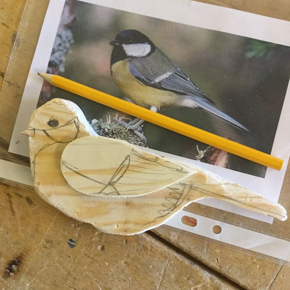 Rita ut detaljerna p\u00e5 f\u00e5geln med en blyertspenna.