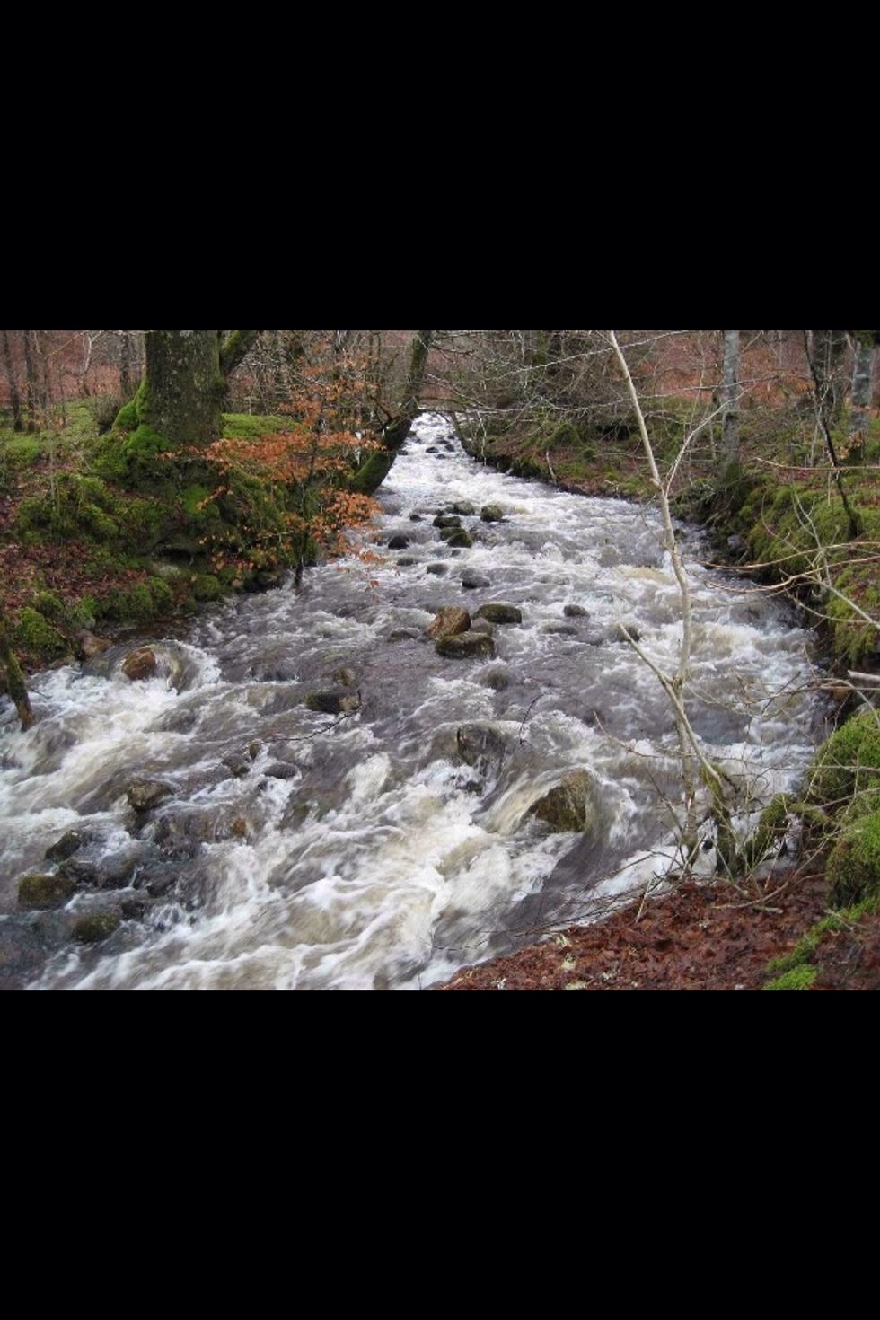 Rivers are another one of many examples of all three of the events happening. As the river flows, the sides get worn down. This can cause prices to break off. Those pieces are then carried away.