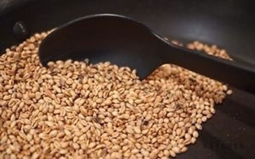 Roast the grains till lil roasted color appears