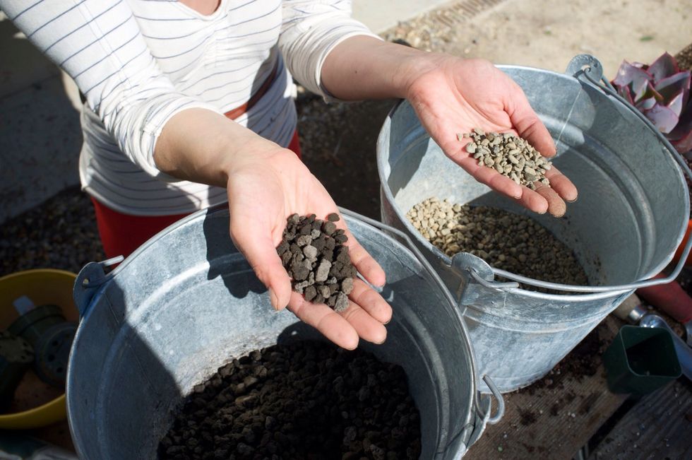 Rocks make a nice aesthetic addition. Make a color/texture choice that best shows off your plants.
