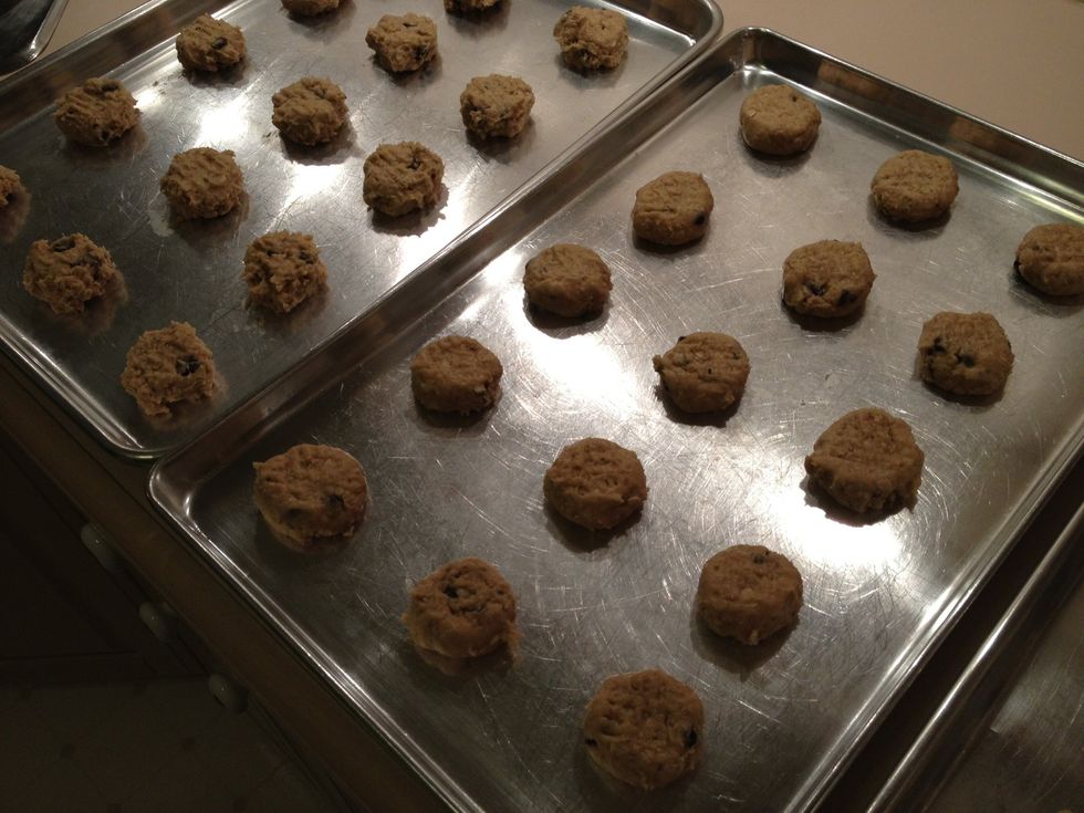 Roll dough into balls and place about 2" apart on cookie sheets, bake for 10 minutes