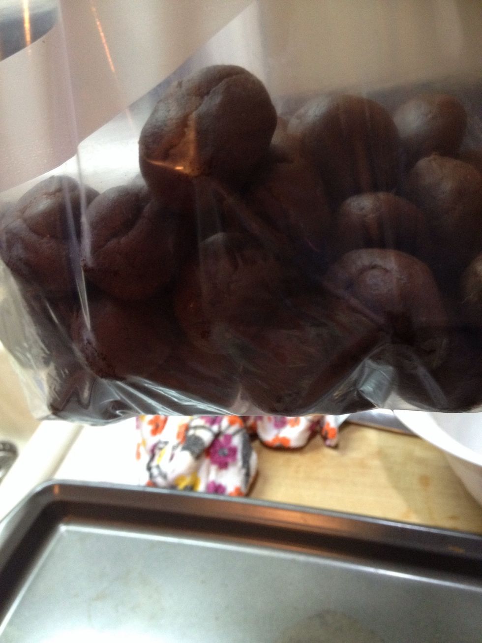 Roll into balls and put in a bag so you can just take them out roll into powder sugar and bake