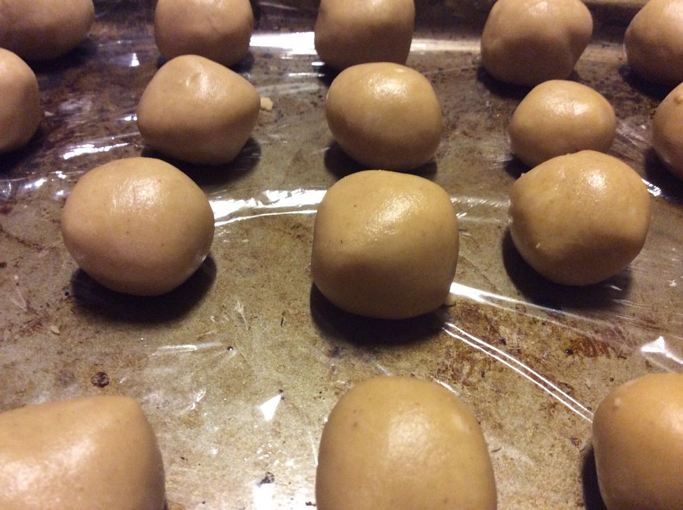 Roll mixture into 1 inch balls or desired size.