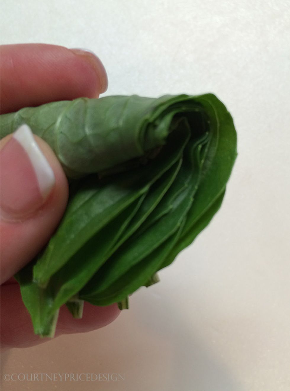 roll the stack of leaves from the top down to the bottom, tightly but gently...