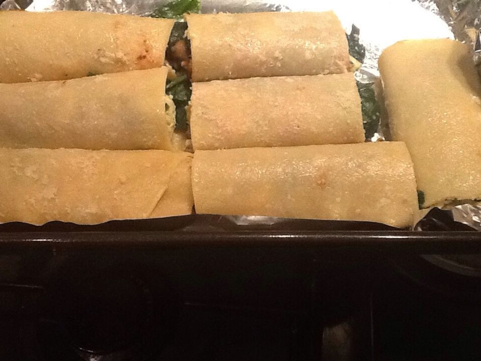 Rolled cannelloni