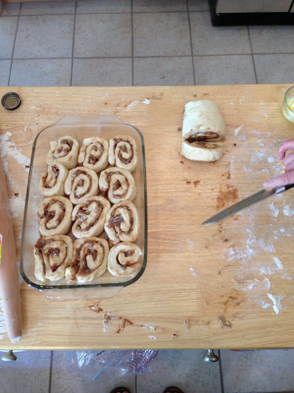 Rolling to log cut into approximately 1 inch pieces and set onsides in greased pan with room to grow